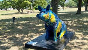 Remaining Pigs Find New Homes 1 sowwy night