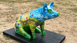 Remaining Pigs Find New Homes 2 willa