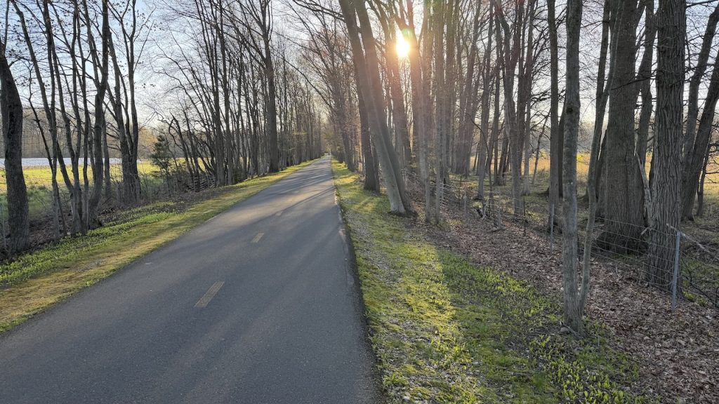 Photo of the Week: Road Less Traveled 4 4 28 26 it reminds me of the road less traveled . taken at sunrise on a random bike travel in new england. steve morin