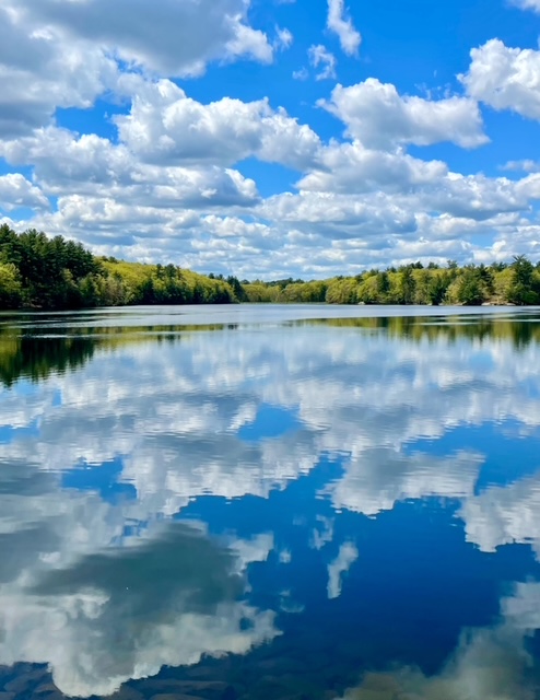Photo of the Week: Mill Pond in May 4 5 8 26 mill pond in may